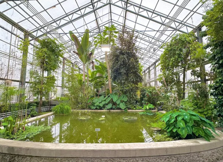 Botanic Garden St. Gallen, St. Gallen, Switzerland, Switzerland